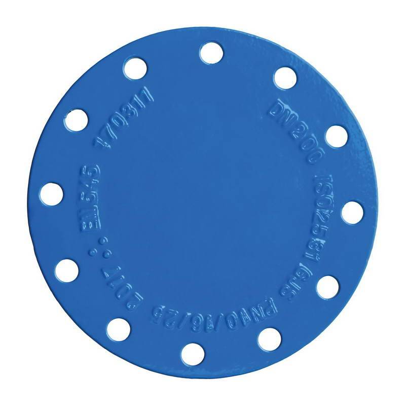 Слепой фланец DN250 PN16